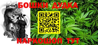 МДПВ Владикавказ