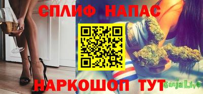 МДПВ Владикавказ