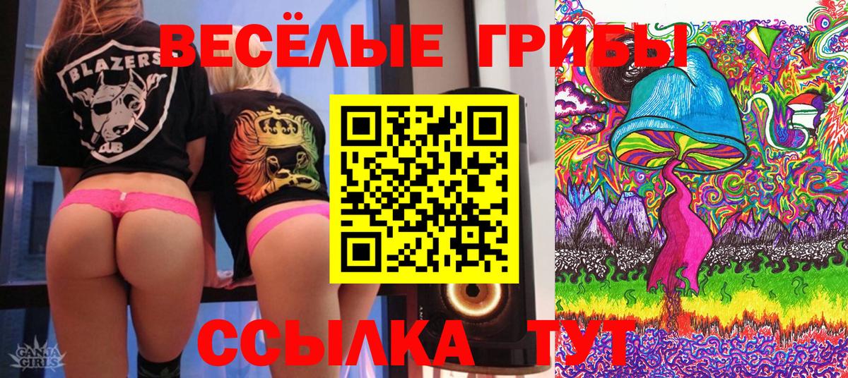 Галлюциногенные грибы MAGIC MUSHROOMS  Вход с VPN  Минеральные Воды  Псилоцибиновые грибы Cubensis 
