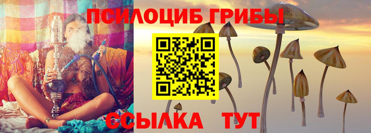 Псилоцибиновые грибы Psilocybine cubensis Минеральные Воды